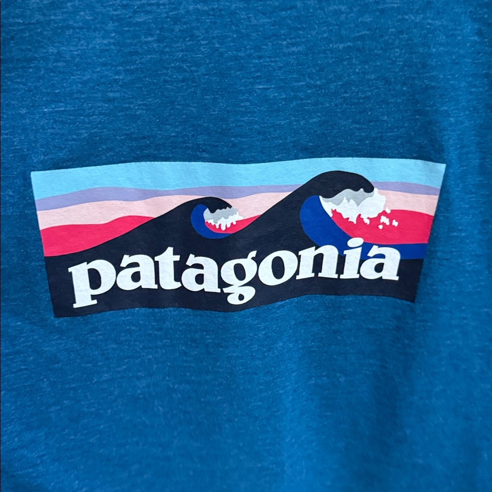Women’s Patagonia scoopneck T-shirt